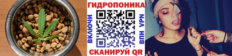 Canna-Cookies марихуана  магазин продажи наркотиков  blacksprut вход  Тетюши 