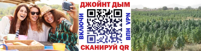 Каннабис Amnesia Тетюши